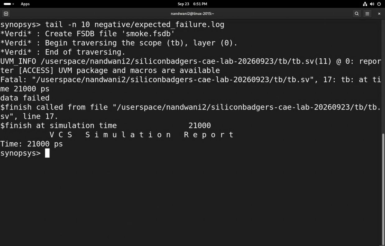 The captured failing run stops at 21000 ps with the data failed diagnostic.