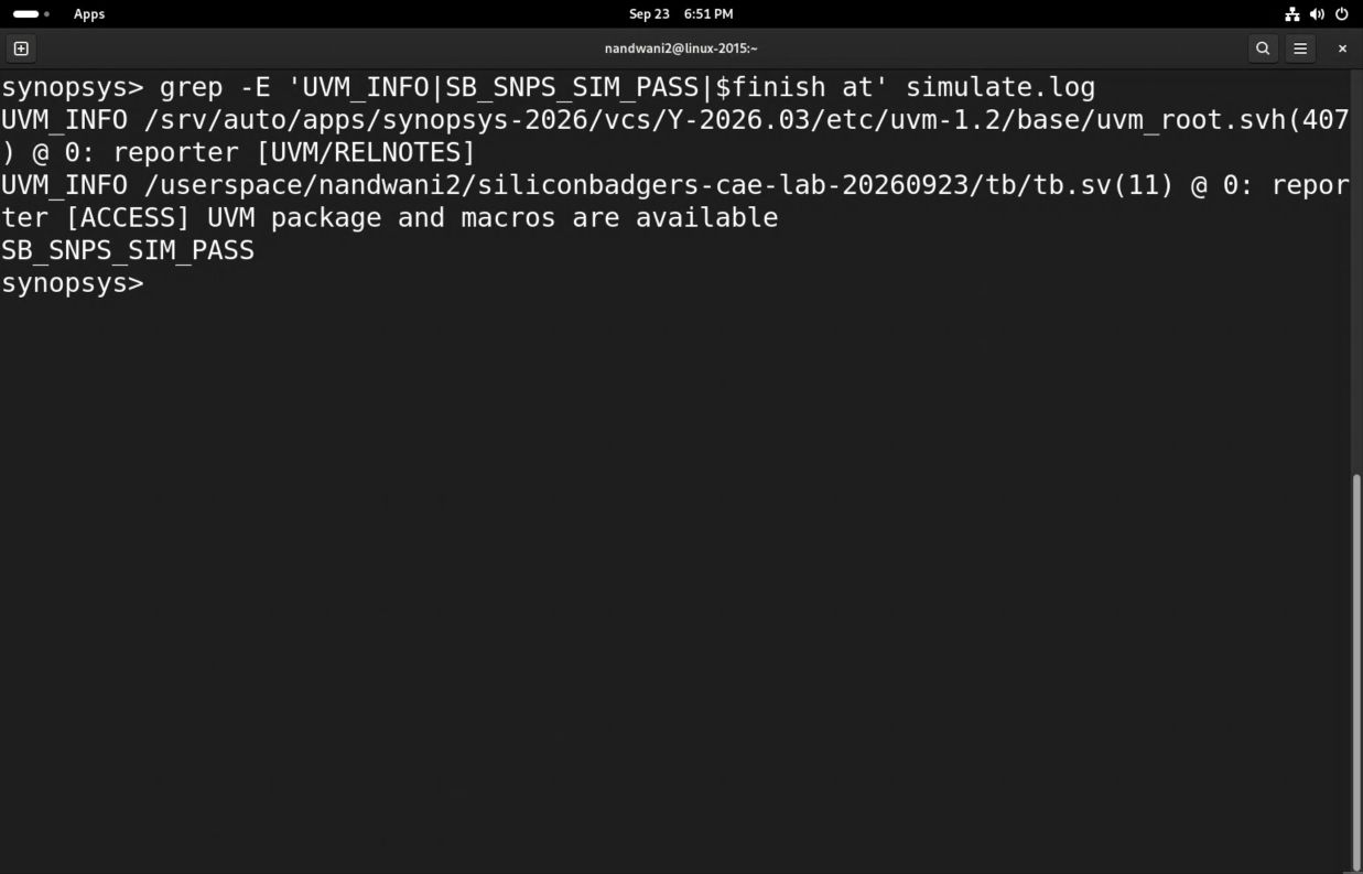 The saved passing log contains the UVM access message and SB_SNPS_SIM_PASS.